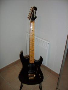 washburn-ss40-black.jpg