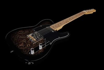paisley tele.jpg