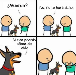 Does He bite 01082017173358.jpg