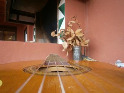 PB220272 [800x600].jpg