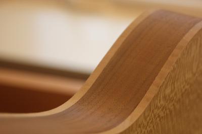 guitarristas cuerpo telecaster.JPG