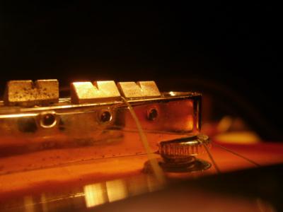 PA160222 [800x600].jpg