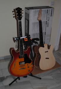 la culona y la telecaster copia.jpg