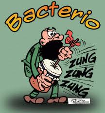 bacterio.jpg