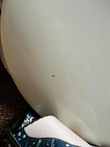 WhatsApp Image 2024-12-22 at 14.11.49 (2).jpeg