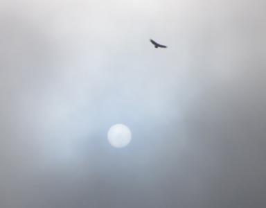 HOCES RIAZA 2013_IMG_8197.jpg