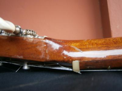 PB220333 [800x600].jpg