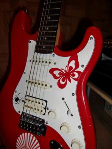 Shadow Fiesta red coco.gif