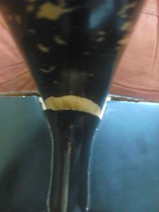 2015-03-30 17.40.05.jpg