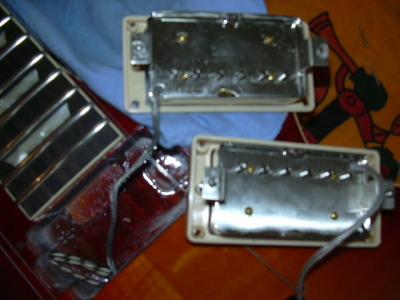 01-ls150 05 pups.jpg