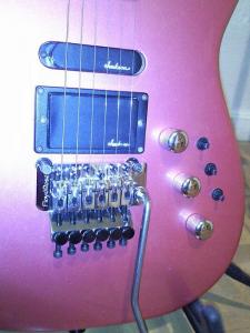 Floyd Rose.jpg