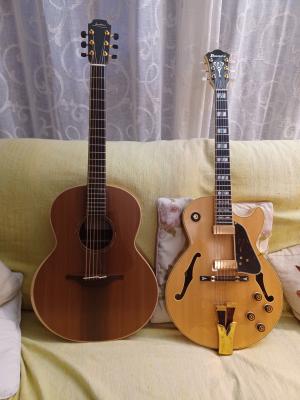 LOWDEN F35_IBANEZ GB10_20260124_183856.jpg