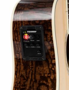 Fender-CD-220SCE-Ash-Burl-Natural-3.jpg