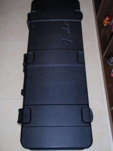 STRAT AM STD (3).jpg