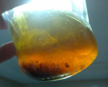 IMG_20170618_044626 (1).jpg