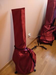 Stratocaster con funda1.jpg