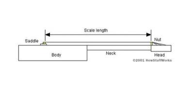 Guitar_scale_length.JPG