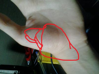 2013-08-02 18.26.53.jpg