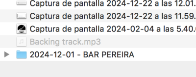 Captura de pantalla 2024-12-22 a las 12.01.55.png