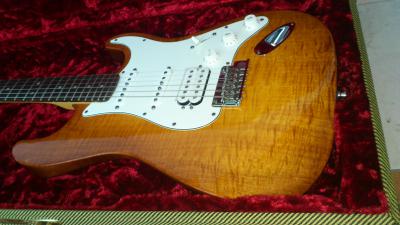 Fender Select 04.jpg