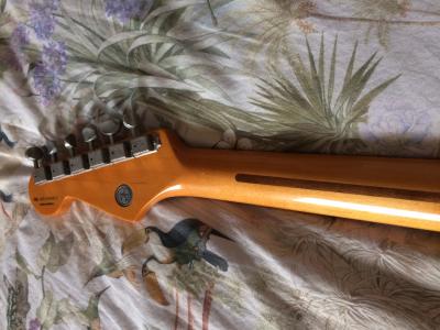 Foto 18-11-16 15 17 55.jpg