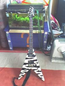 Aria Pro II XX Deluxe Zebra.jpg