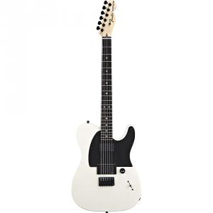 fender-signature-jim-root-telecaster-100049713.jpg