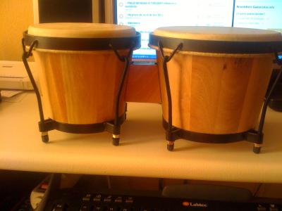 Bongos.jpg