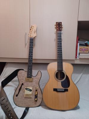 TELECA AGL Y MARTIN OM-28 MD_20241013_230828.jpg