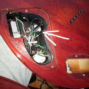 IMG_20220902_131119 (1).jpg