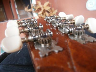 PB220334 [800x600].jpg