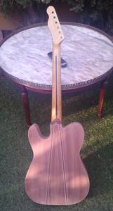 teleca entera trasera.jpg