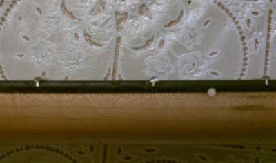 Pestaña torcida.JPG