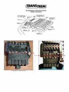 steinberger trans trm 2.jpg