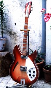 Rickembacker 360 V64.jpg