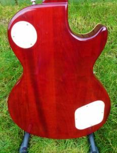 P1080708_zpsihskfokw epiphone.jpg