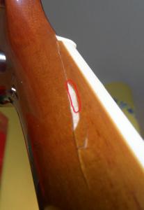 SAM_5771 editada.jpg