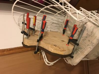 IMG_8006 3:8:2018.jpg