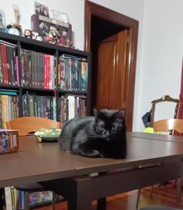 WhatsApp Image 2024-02-15 at 19.22.00.jpeg