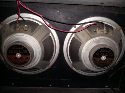 Marshall Parlante 3.jpg