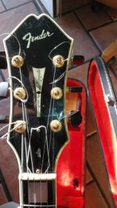 WhatsApp Image 2025-04-24 at 11.17.35.jpeg