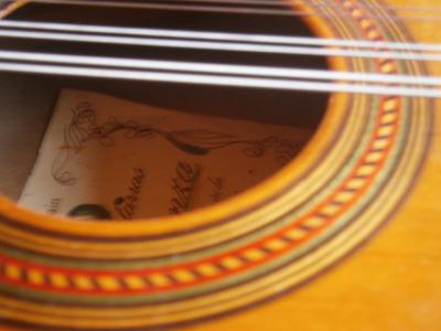 PB220341 [800x600].jpg