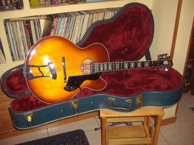 Harpotone Case (I).JPG