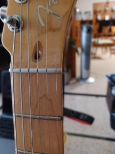 20230903_103322 copia.jpg