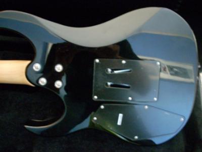 Cuerpo trasera reducido.JPG