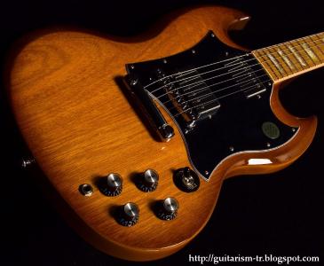 Gibson_Baked_Maple_Fingerboards 004.jpg