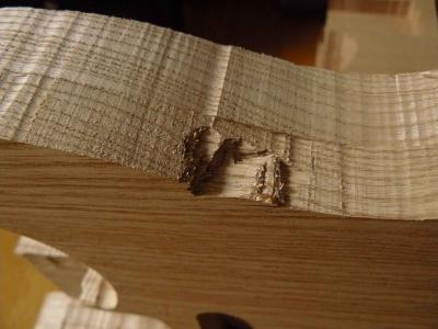 cuerpo fresno mordiscos 4.jpg