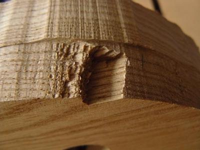 cuerpo fresno mordiscos 5.jpg