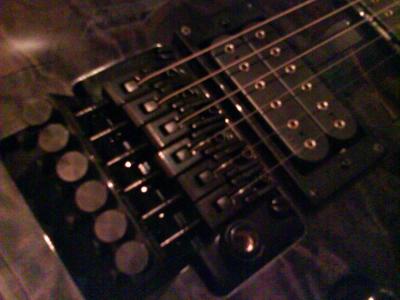 Floyd Rose.JPG
