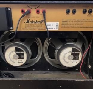 WhatsApp Image 2025-03-31 at 17.55.01.jpeg